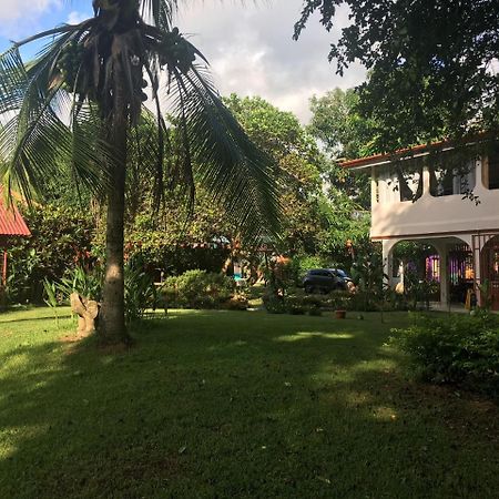 Casa Ballena Eco Hostel Uvita Εξωτερικό φωτογραφία
