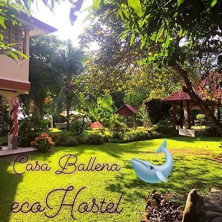 Casa Ballena Eco Hostel Uvita Εξωτερικό φωτογραφία