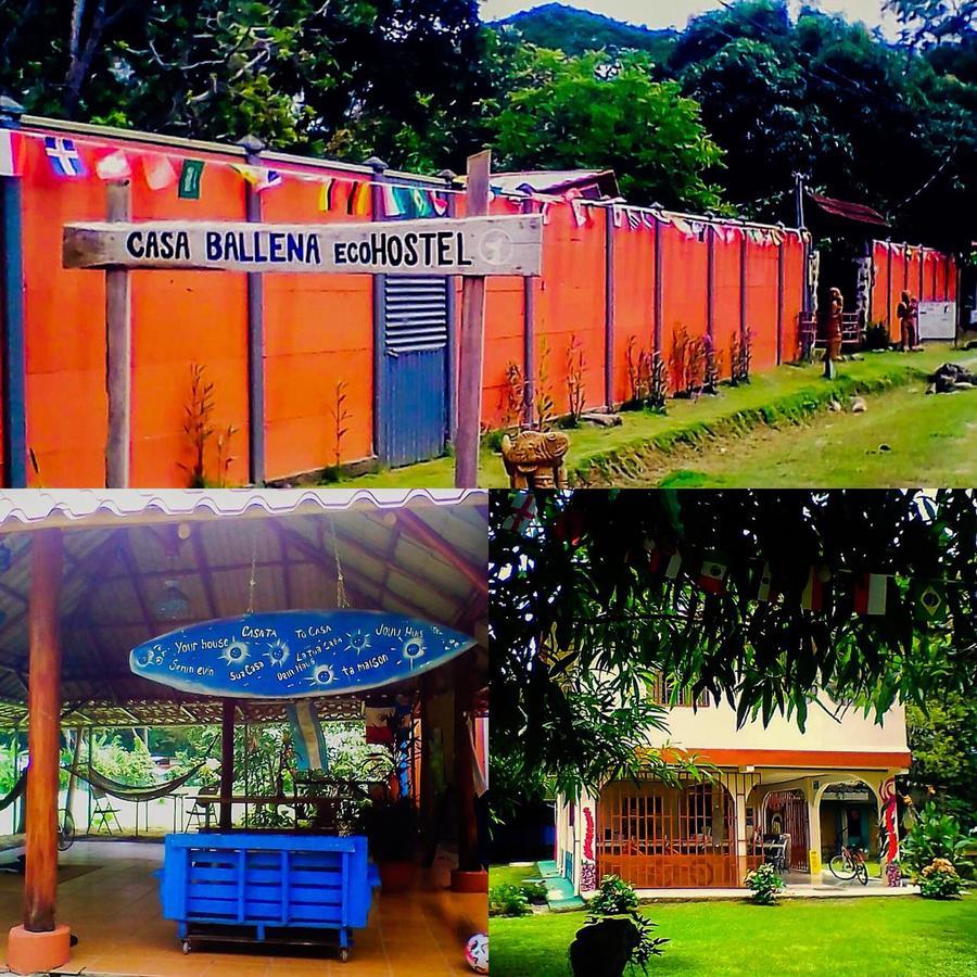 Casa Ballena Eco Hostel Uvita Εξωτερικό φωτογραφία