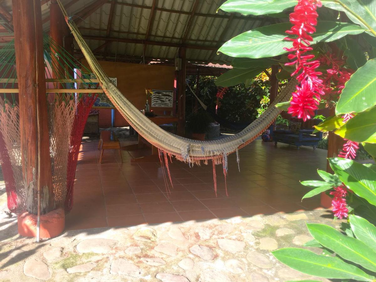 Casa Ballena Eco Hostel Uvita Εξωτερικό φωτογραφία