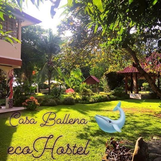 Casa Ballena Eco Hostel Uvita Εξωτερικό φωτογραφία